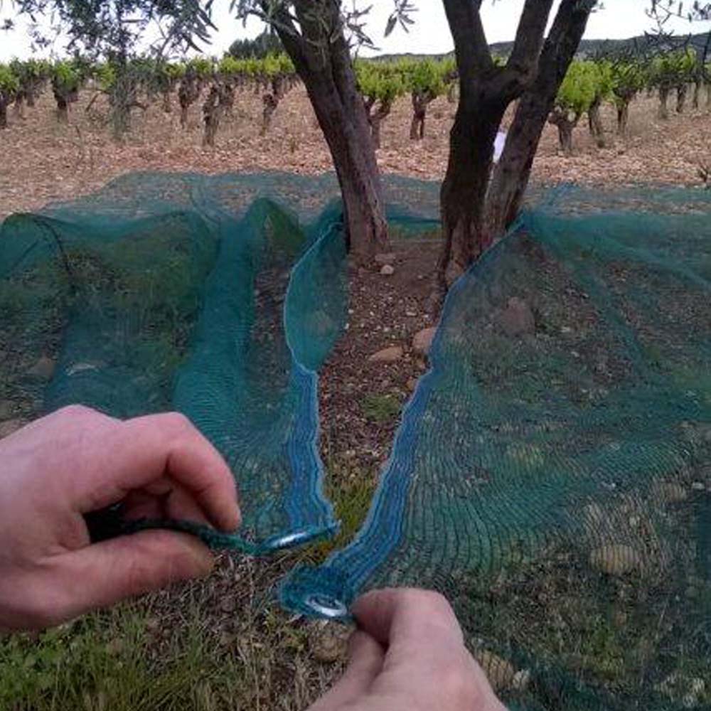 Filet d'arbre en rouleau de 100 mètres